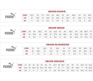 Klapki Puma BMW MMS Leadcat 306408-02