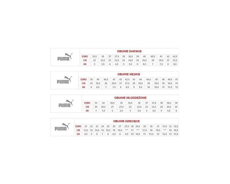 Buty Puma Ferrari Primo SF-10 305365-02