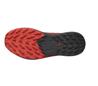 Buty męskie Salomon Sense Ride 472143-29