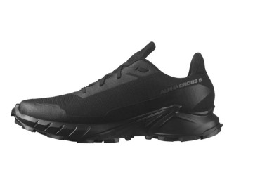 Buty męskie Salomon Alpha 5 GTX L47307500