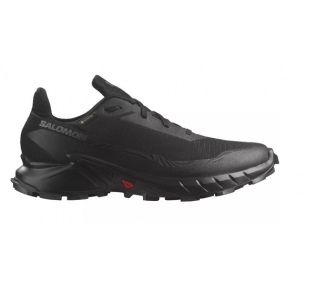 Buty męskie Salomon Alpha 5 GTX L47307500