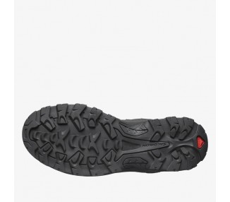 Buty męskie Salomon  Quest GTX L47181300