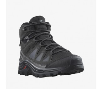 Buty męskie Salomon  Quest GTX L47181300