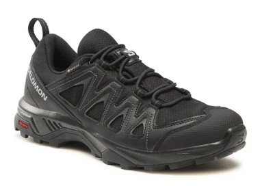 Buty męskie  Salomon X Braze GTX L47180400