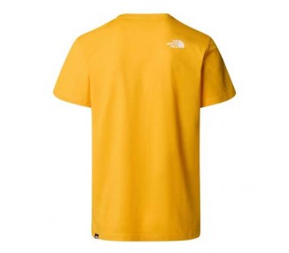 Koszulka męska The North Face NF0A87NG56P