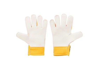 Rękawice bramkarskie Puma 041862-09