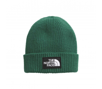 Czapka Zimowa The North Face NF0A3FJXNL1